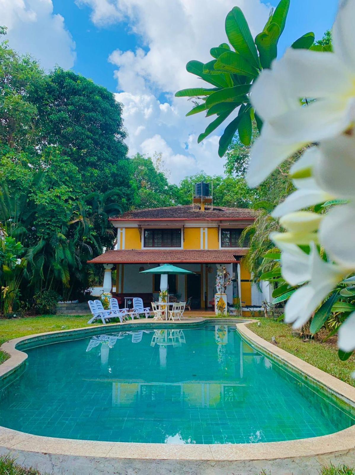 The Island Pool Villa パナジ エクステリア 写真