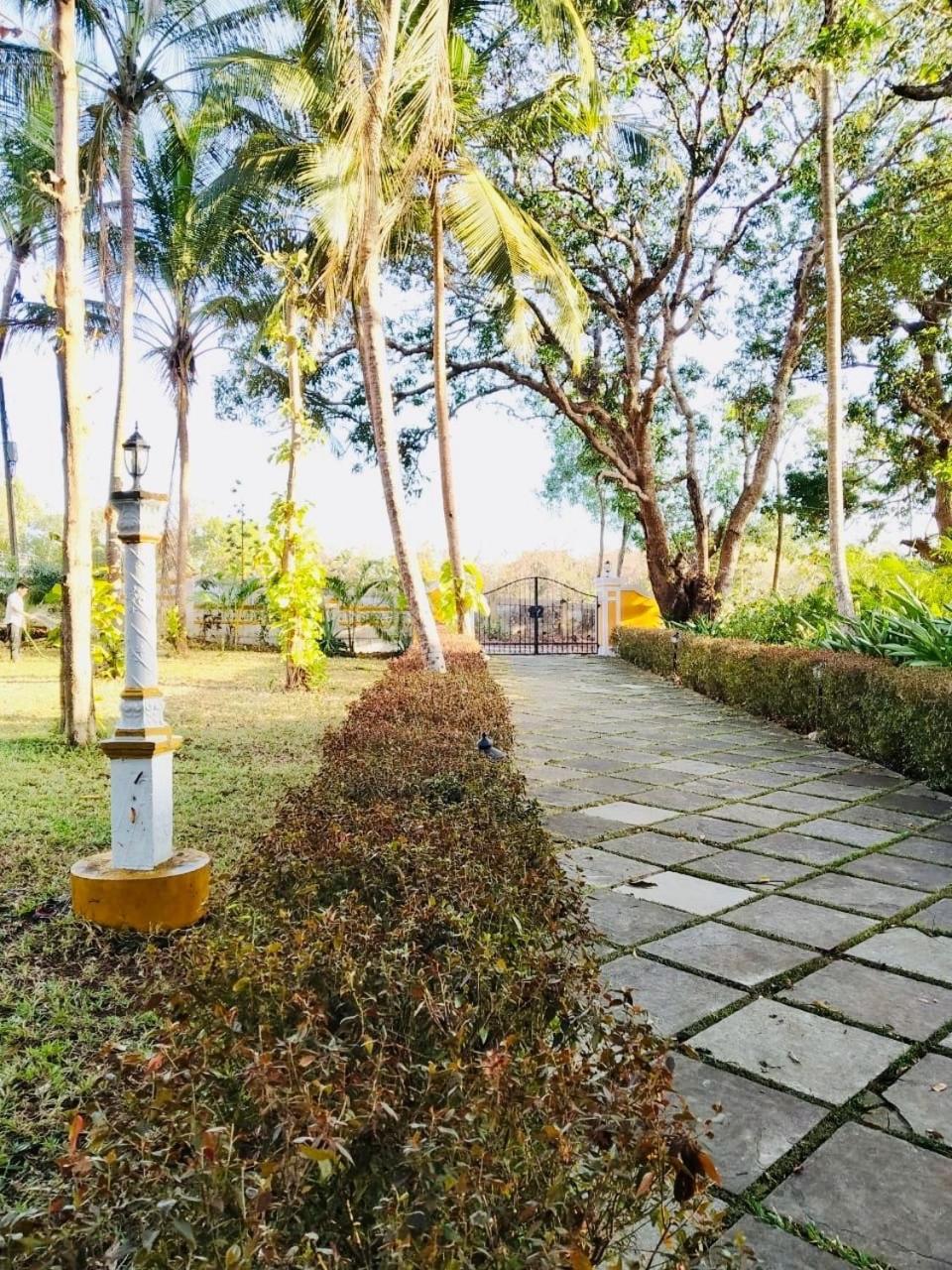 The Island Pool Villa パナジ エクステリア 写真